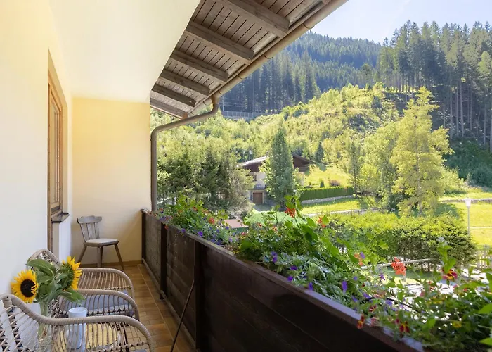 Schareckblick Appartement